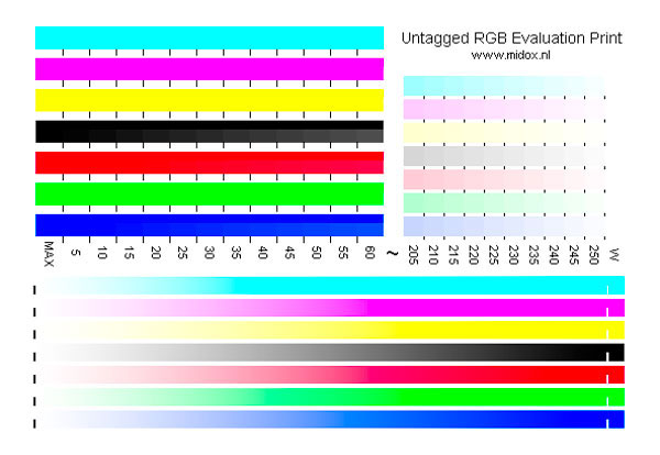 evaluation_print