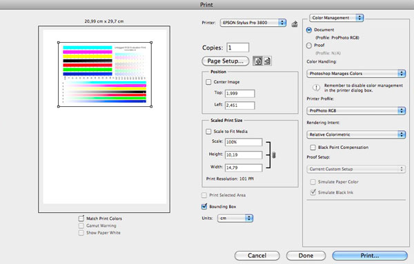 print_dialog