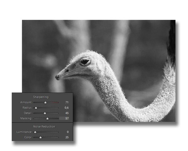 Lightroom Amount Effect