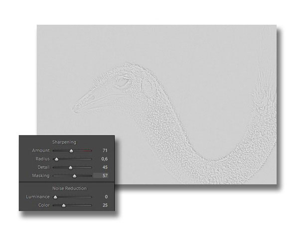Lightroom Detail Effect