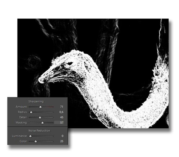 Lightroom Mask Effect