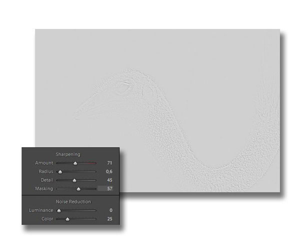 Lightroom Radius Effect