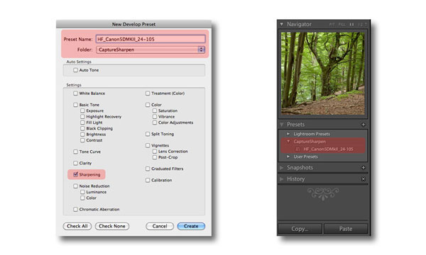 Presets Camera Raw