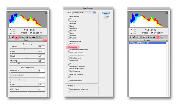 Presets Camera Raw