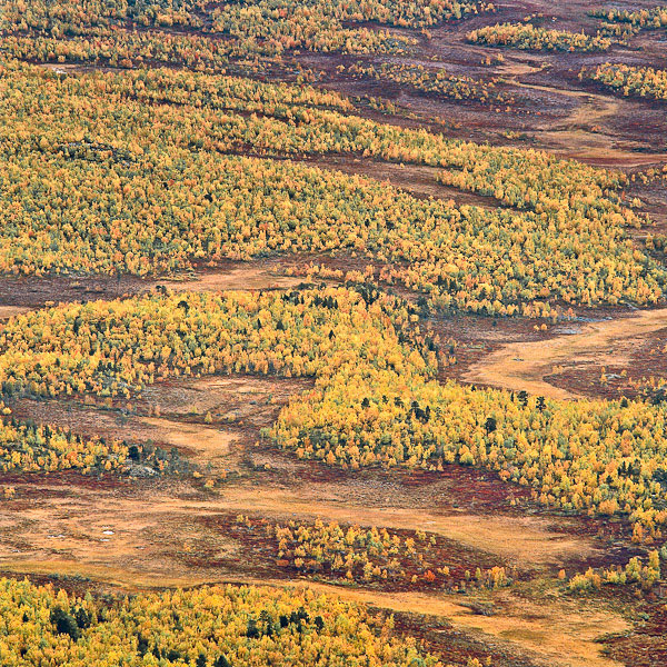 Abisko Nationalpark © Jan von Steijern