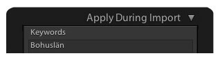 Keywords vid Import