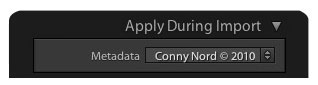 MetaData vid Import
