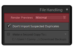 Lightroom Render Previews Lightroom Render Previews